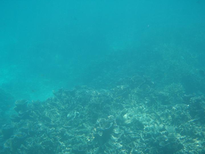 Anaconda hp 465.jpg